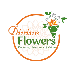 divine-logo